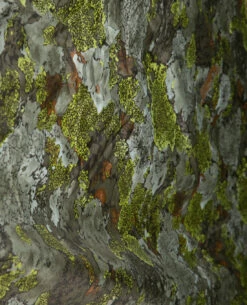 King Size Mountain Biwacksack Jervenduken Fjellducken -Outdoor Ausrüstung Verkaufs-Shop jerven king size mountain biwacksack jervenduken fjellducken 1021 5