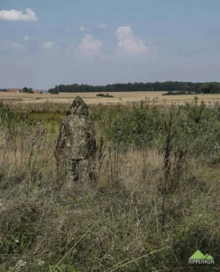 Basecap ConCamo -Outdoor Ausrüstung Verkaufs-Shop leo koehler basecap concamo 90487 7