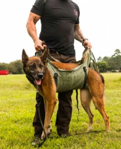 D LIFT Dog Stretcher W/ Carrier Olive Drab -Outdoor Ausrüstung Verkaufs-Shop matbock d lift dog stretcher w carrier olive drab mb dlift od 3