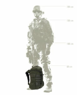 Mystery Ranch 2 Day Assault Forest Grün -Outdoor Ausrüstung Verkaufs-Shop mystery ranch 2 day assault forest gruen f19111183 311 12