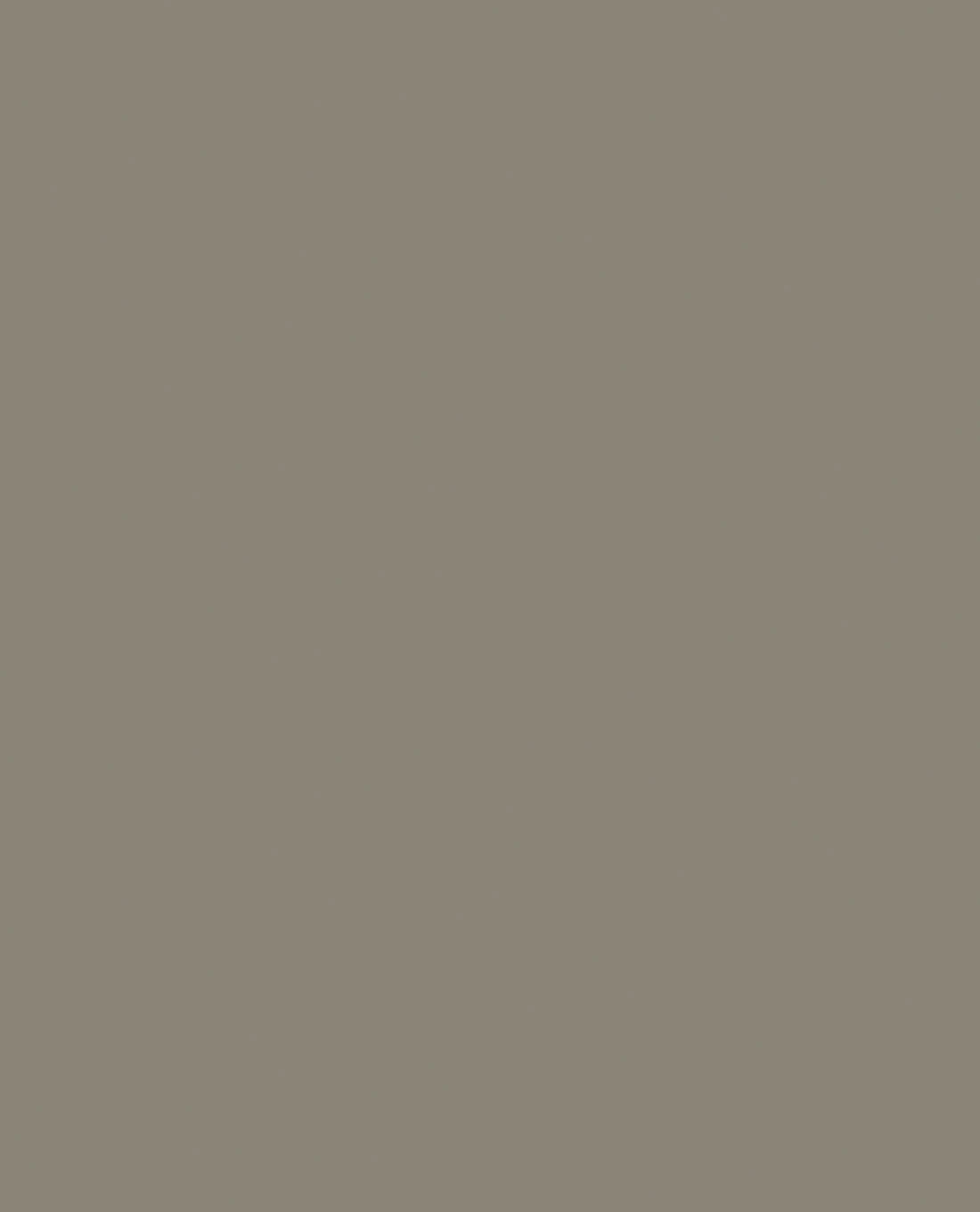 Tarnfarbe EC Paint Coyote Brown 6 Tarnfarbe EC Paint Coyote Brown – Bild 4