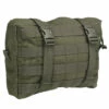 Tasmanian Tiger Tac Pouch 10 Olive 1 Tasmanian Tiger Tac Pouch 10 Olive -Outdoor Ausrüstung Verkaufs-Shop tasmanian tiger tac pouch 10 olive 7573331 1