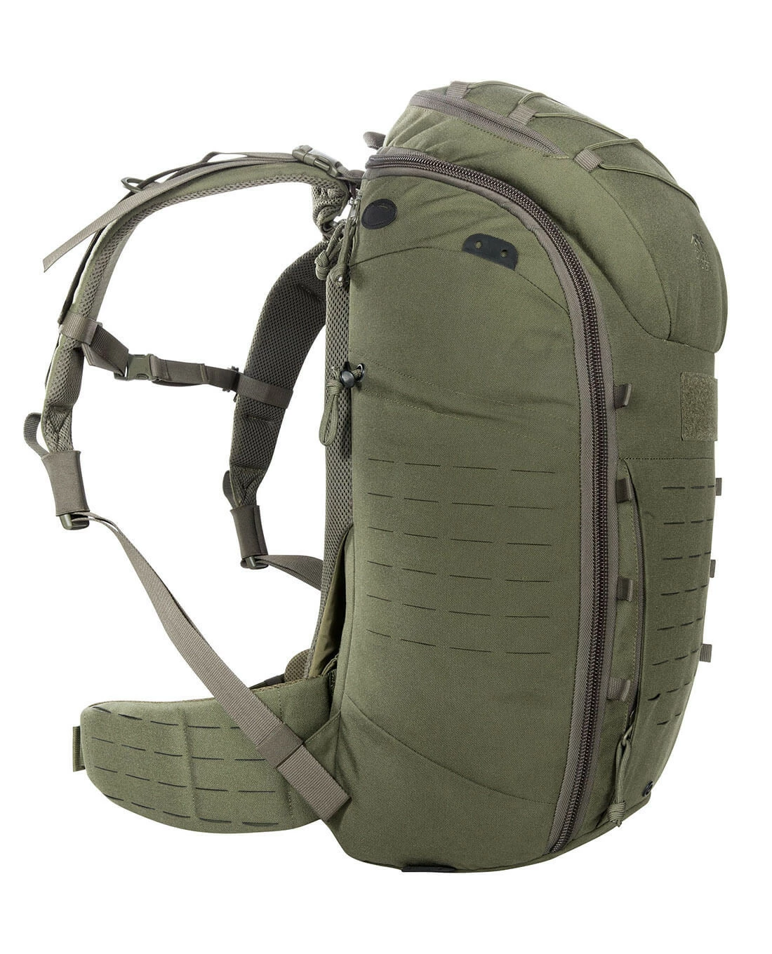 Tasmanian Tiger TT Molle Hip Belt Oliv 5 Tasmanian Tiger TT Molle Hip Belt Oliv – Bild 4