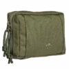 Tasmanian Tiger TT Tac Pouch 4.1 Olive