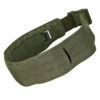 Tasmanian Tiger TT Warrior Belt LC Oliv -Outdoor Ausrüstung Verkaufs-Shop tasmanian tiger tt warrior belt lc oliv 7783331 1